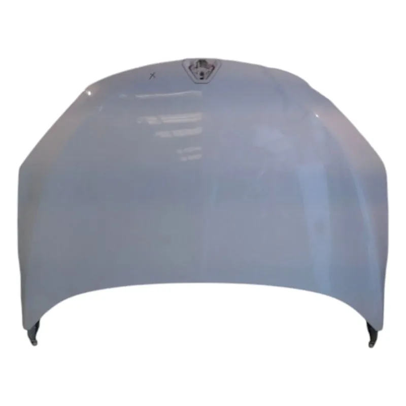 Capot Renault MEGANE III COUPE 651009018R - Petit prix